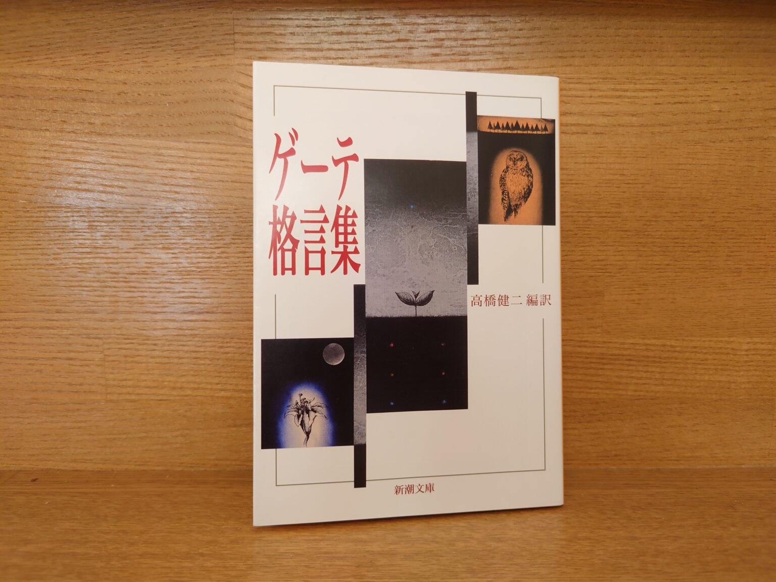 高橋健二編訳『ゲーテ格言集』あらすじと感想~ドイツ大詩人の珠玉の言葉を堪能!「さすがゲーテ大先生!」と唸りたくなる一冊