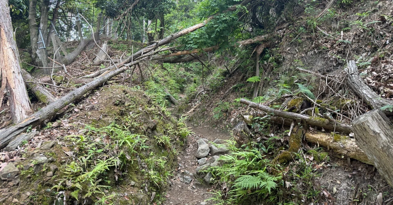 比叡山登山